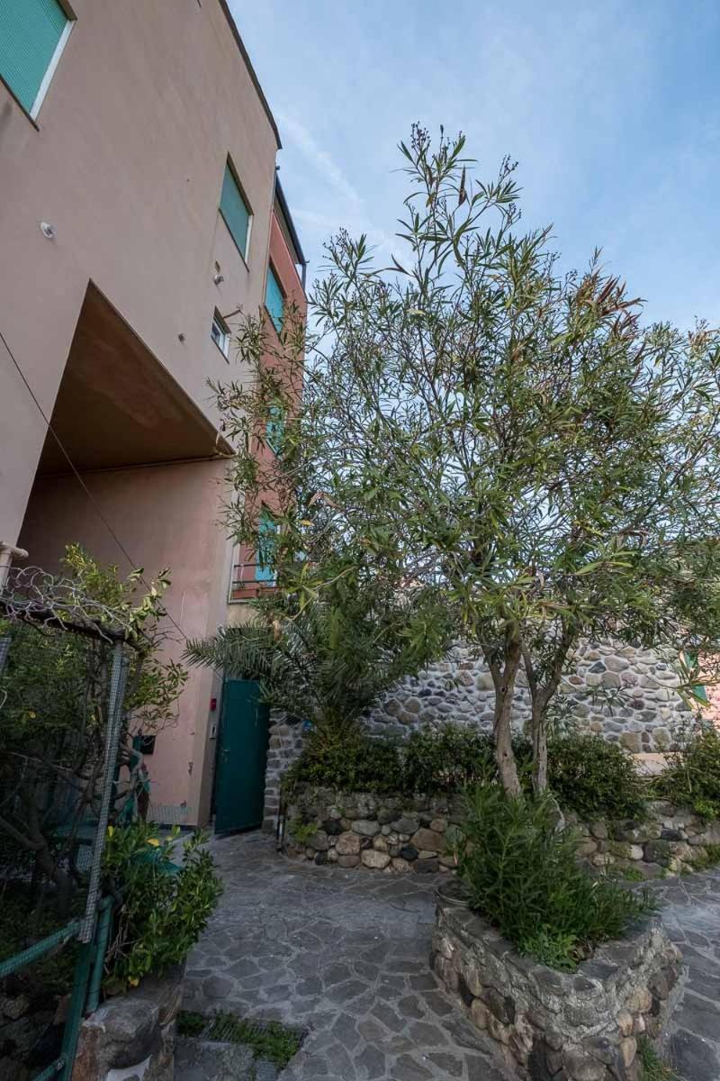 Apartment Olivia New With - Ac *
