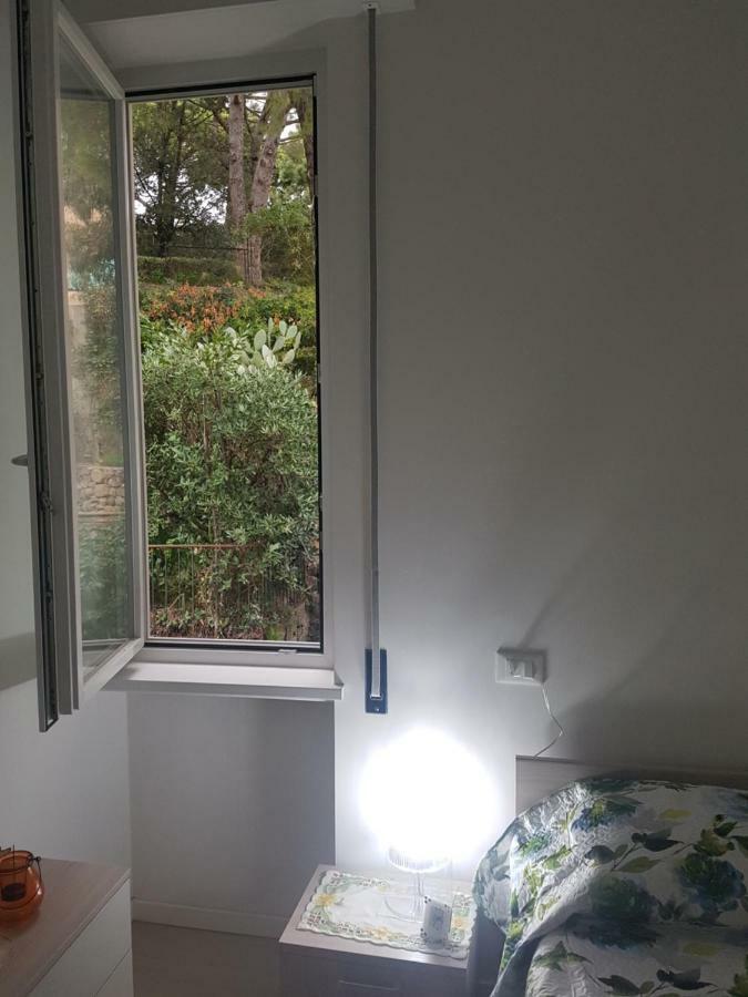 Apartment Olivia New With - Ac